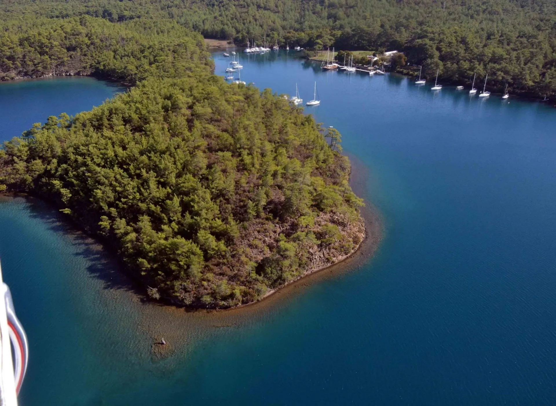 okluk bay